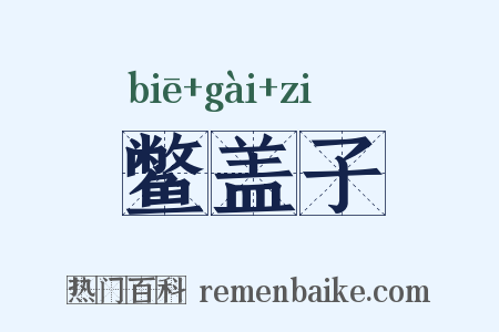 鳖盖子是什么意思的图片